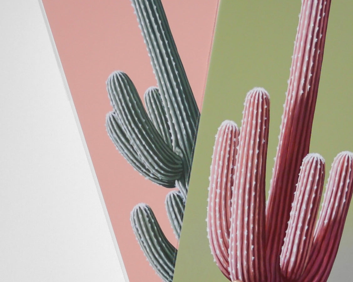 Cactus Series  Surreal Desert Art Prints by Jonah Ballard  The Painted  Ladies by Jonah Ballard