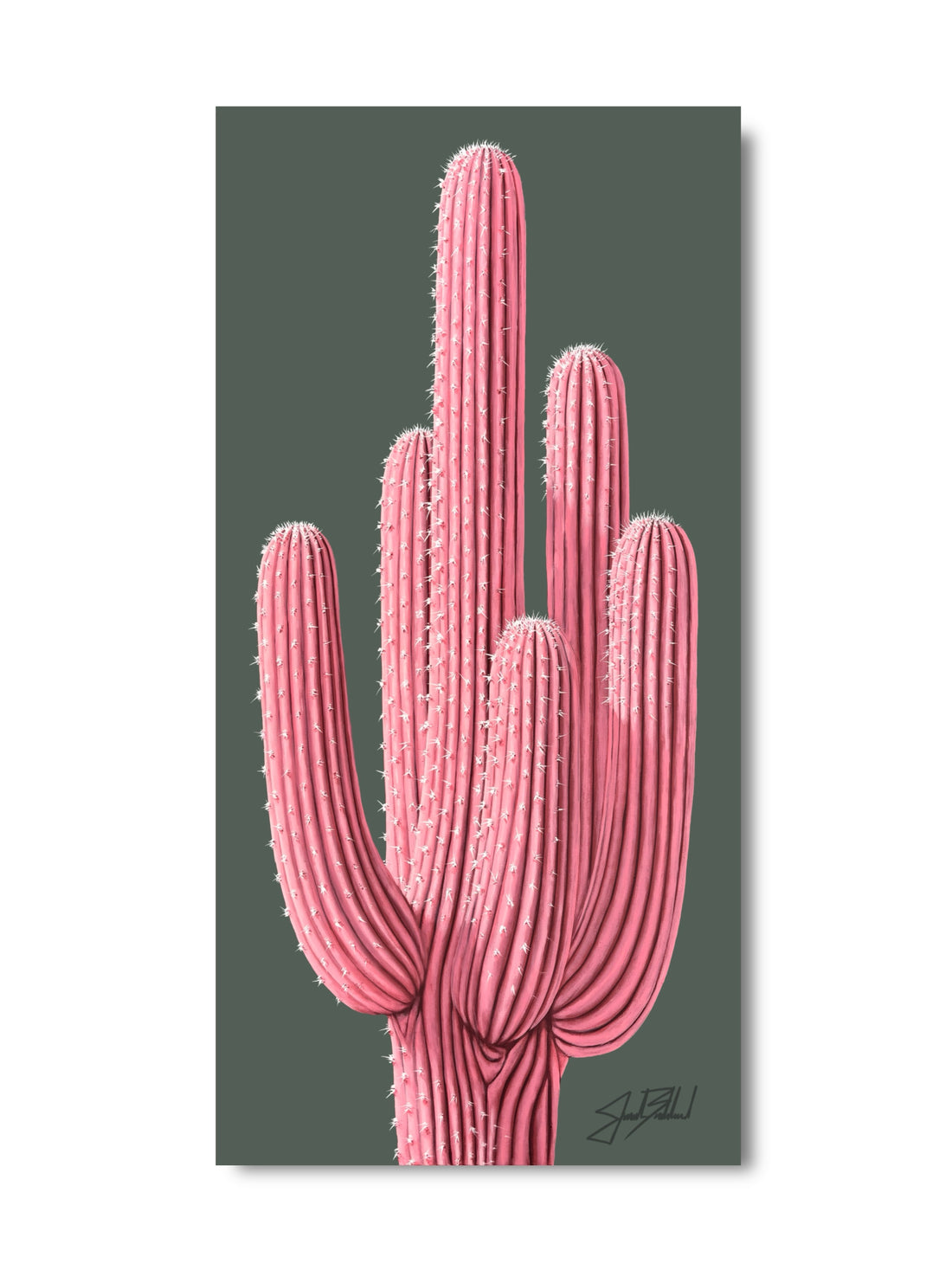 A vertical paper print of a pink saguaro cactus on a green background, signed by Jonah Ballard