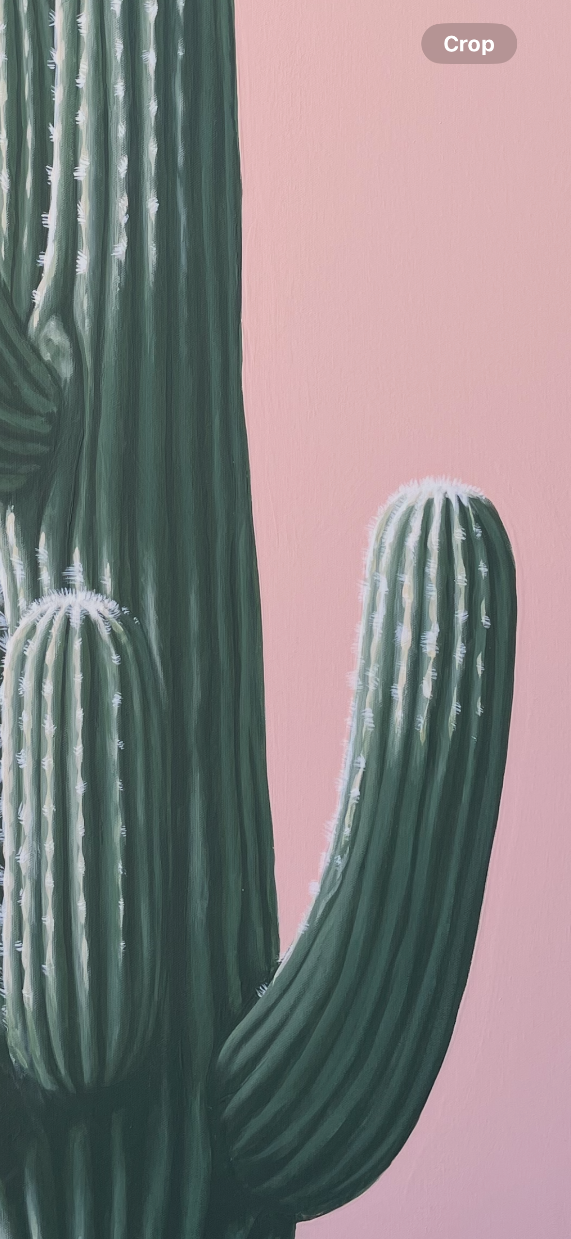 Pastel Green Saguaro Original