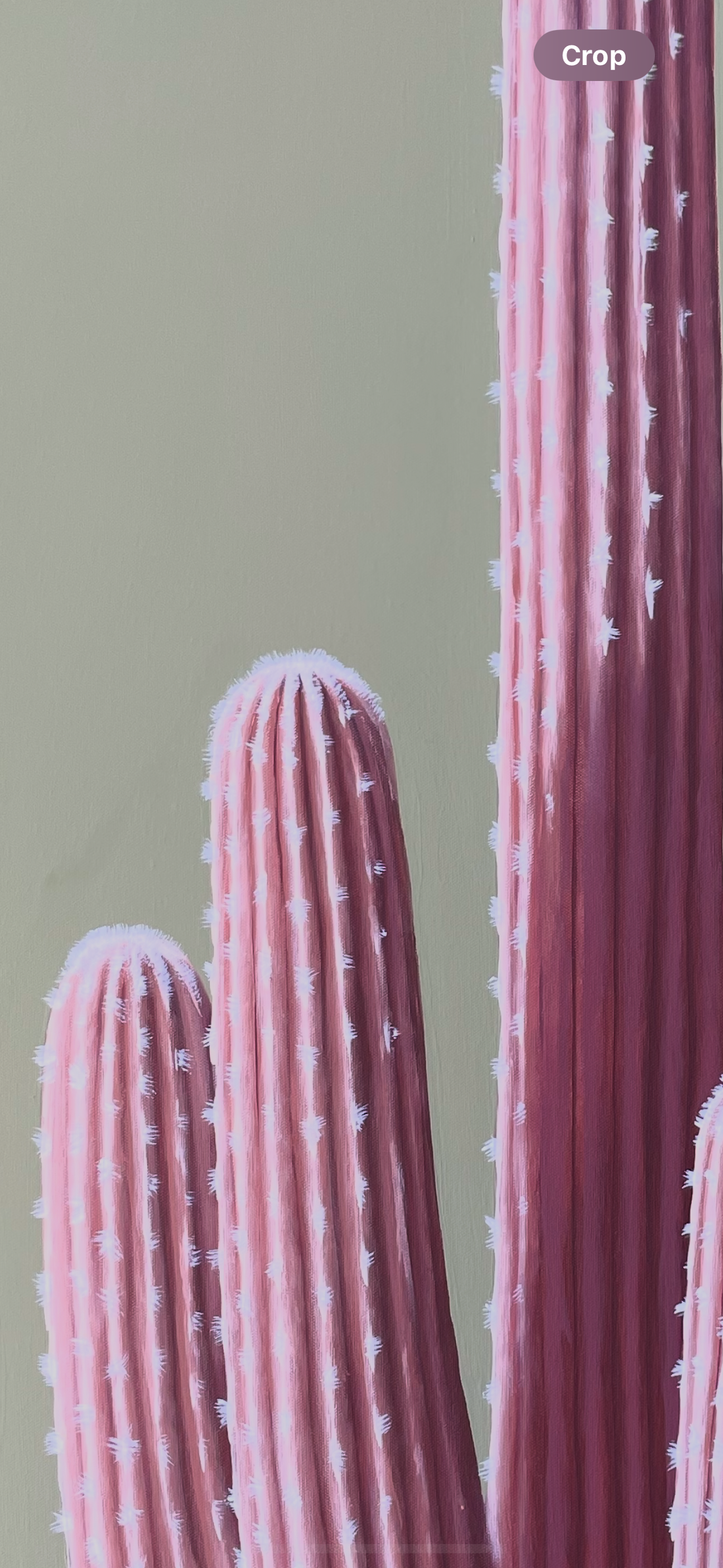 Pastel Pink Saguaro Original