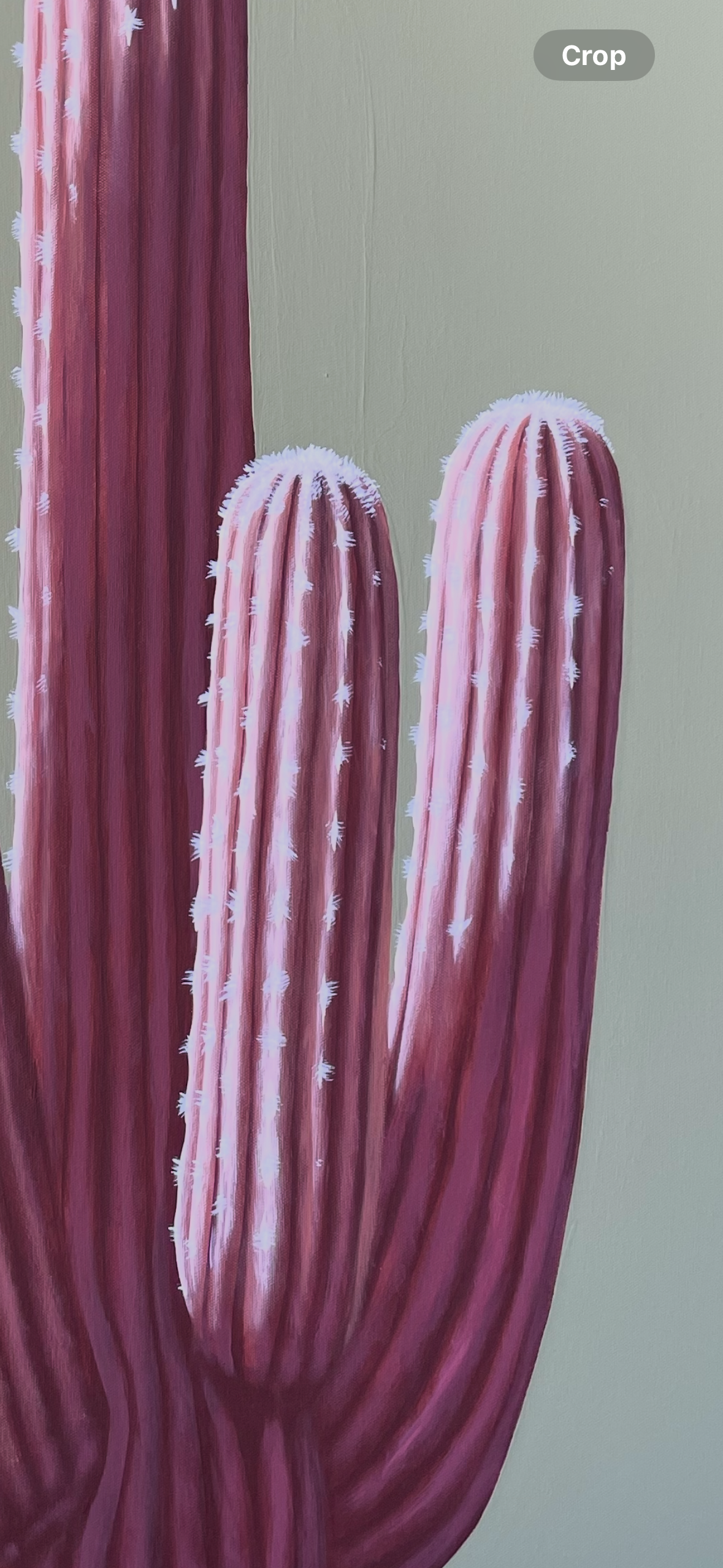 Pastel Pink Saguaro Original