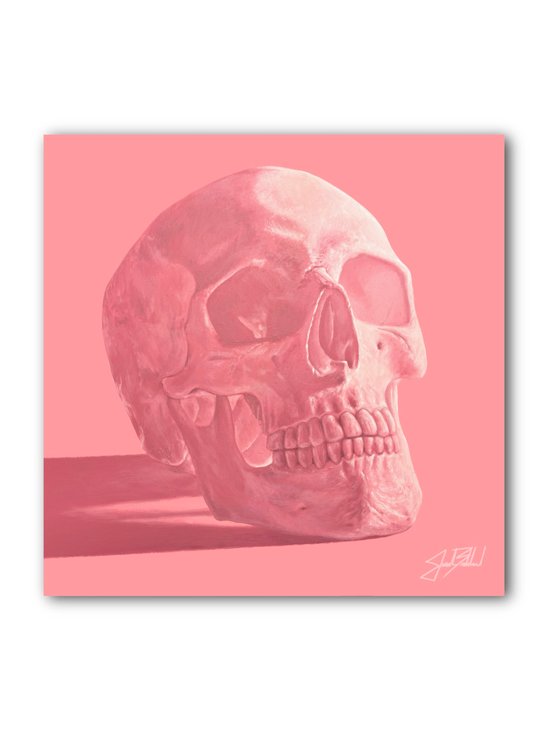 A paper print of a skull with a pink hue, showcasing details of the skull&