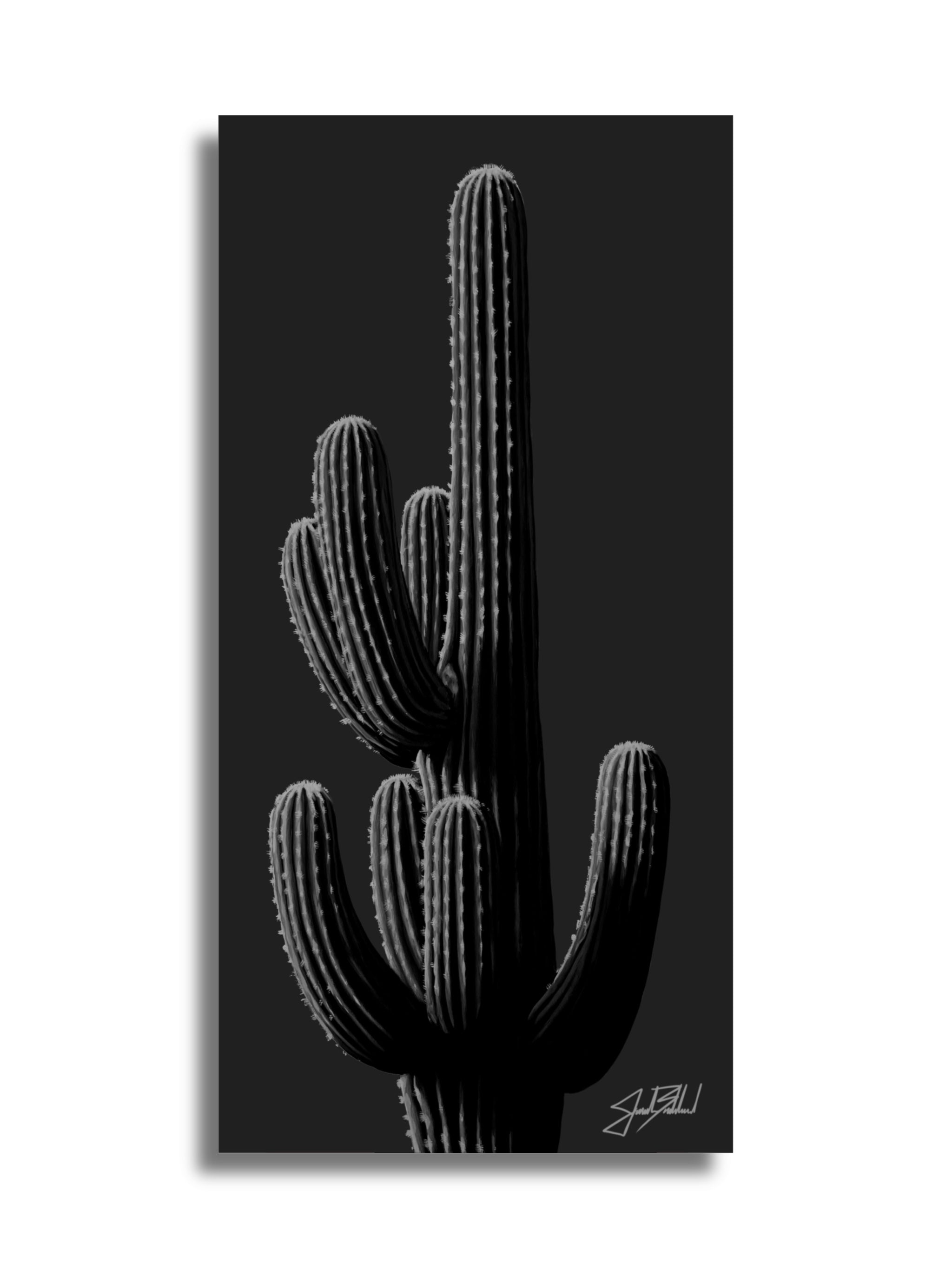 A black and white image of a charcoal gray cactus printed on paper, showcasing details and texture against a dark background with a signature in the lower right corner of Jonah Ballard