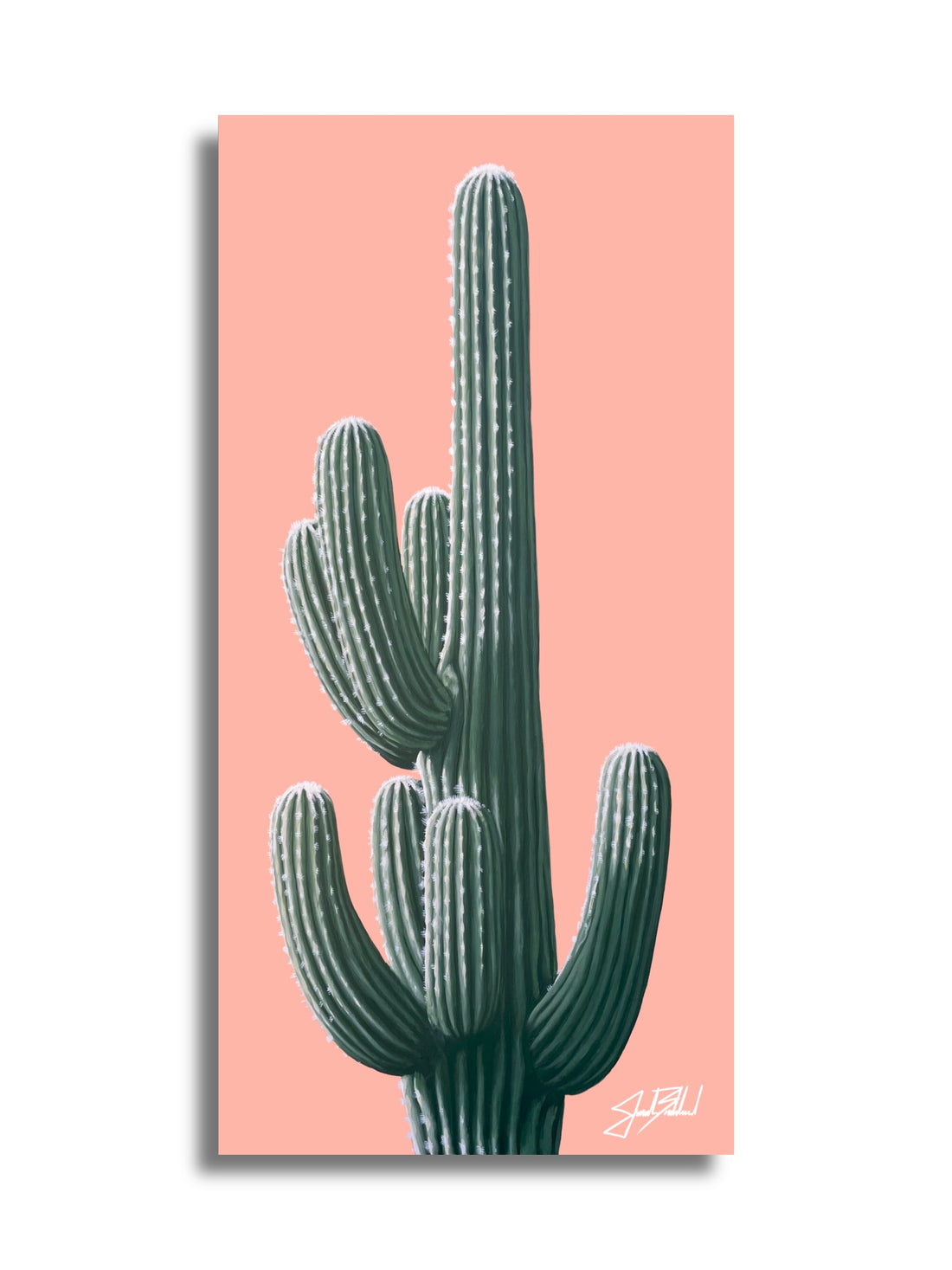 A paper print of a green saguaro cactus on a pink background, with Jonah Ballards signature at the bottom.