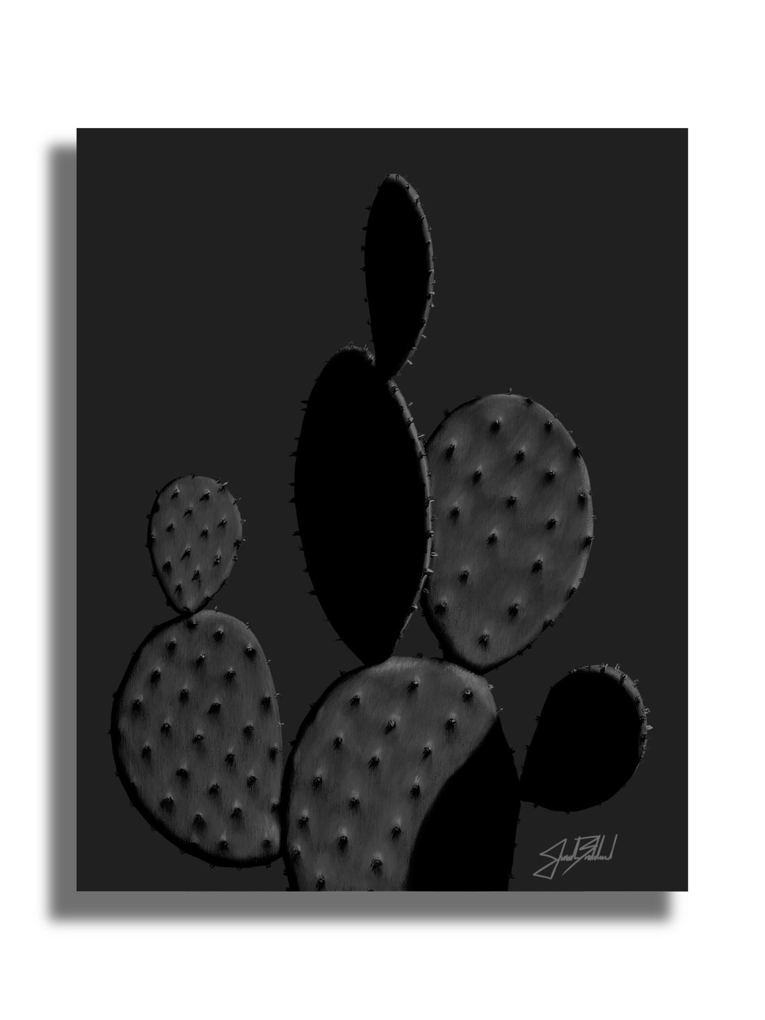 A charcoal gray prickly pear cactus paper print with a visible signature by Jonah Ballard