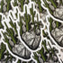 The Painted Ladies- Arizona Heart Sticker