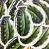 The Painted Ladies- Arizona Grenade Sticker