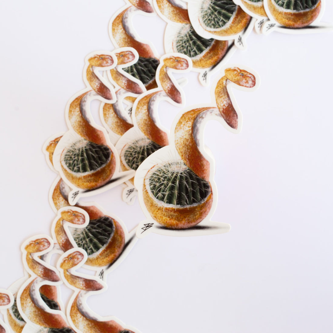 Cactus Grapefruit Sticker