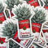 The Painted Ladies- Cactus Campbell’s Sticker