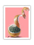 Artificially altered image of a cactus inside a grapefruit with a pink background, printed on paper.