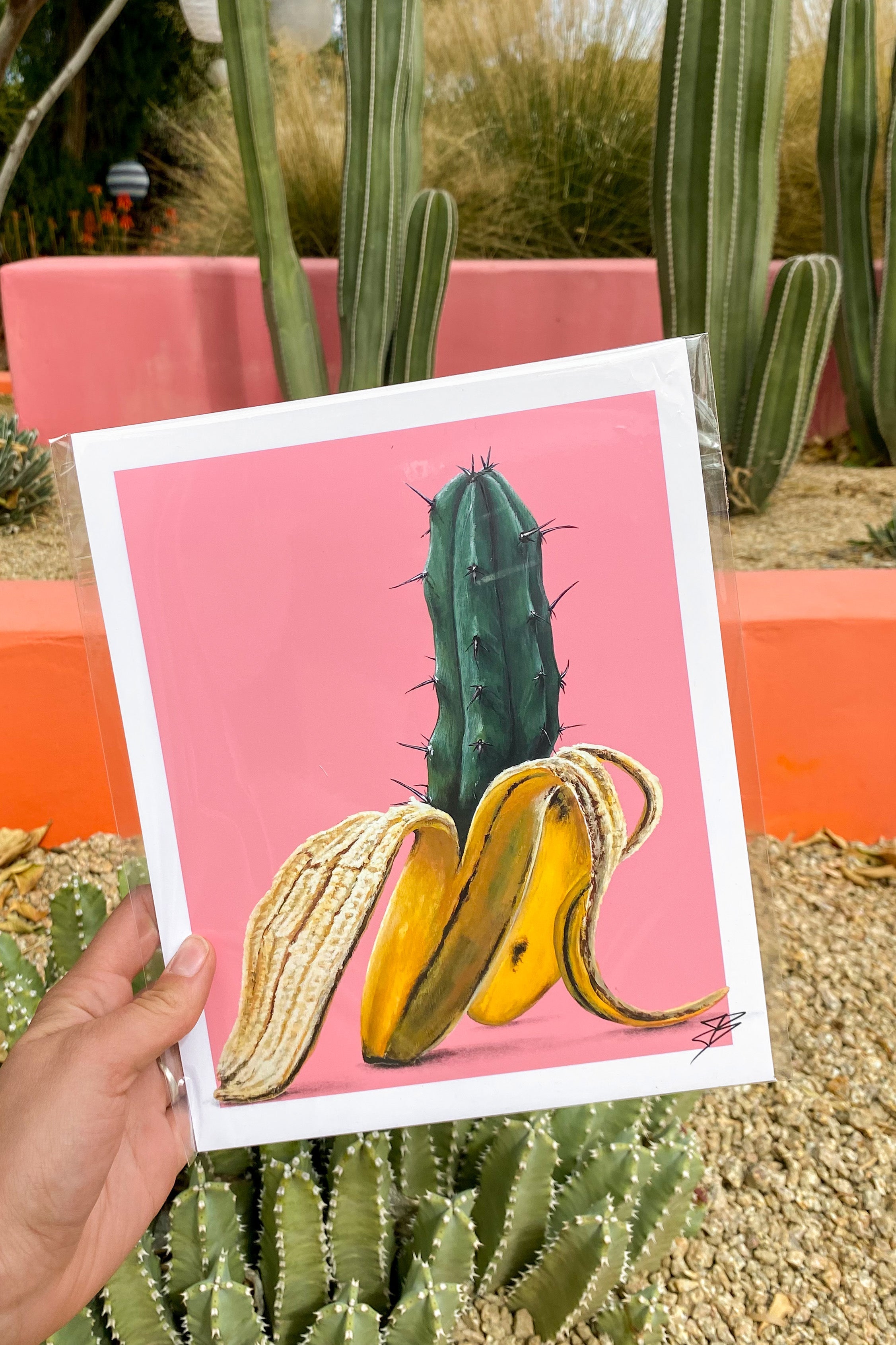Cactus Food