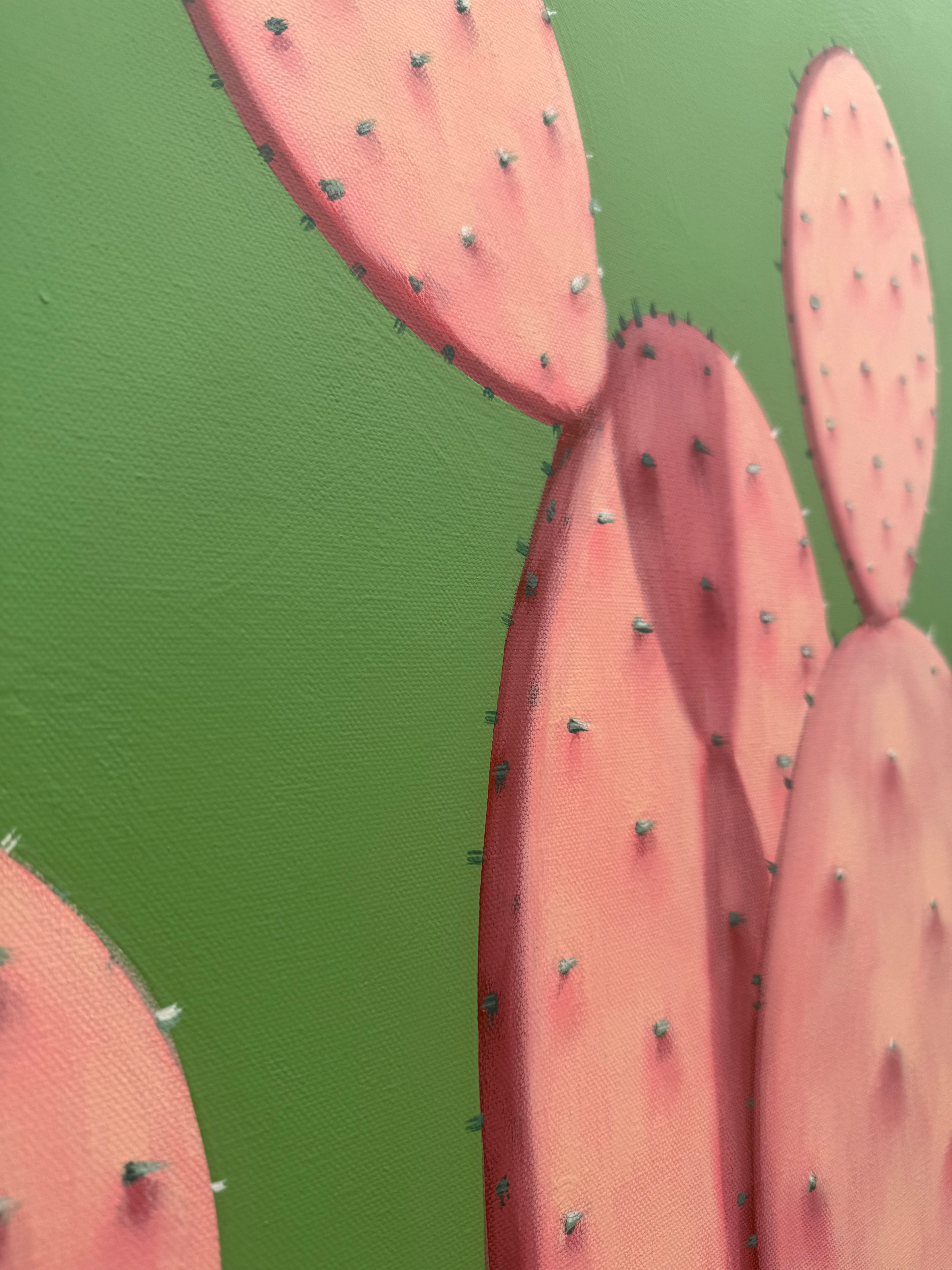 Pink Prickly Pear