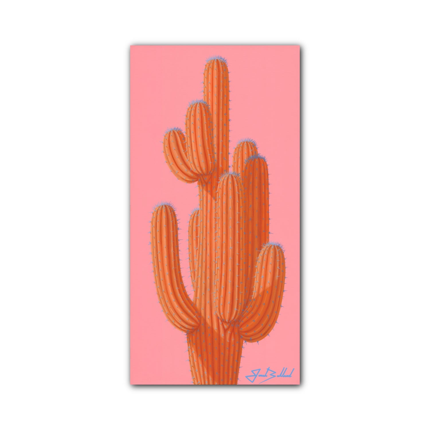 Orange Saguaro Paper Print