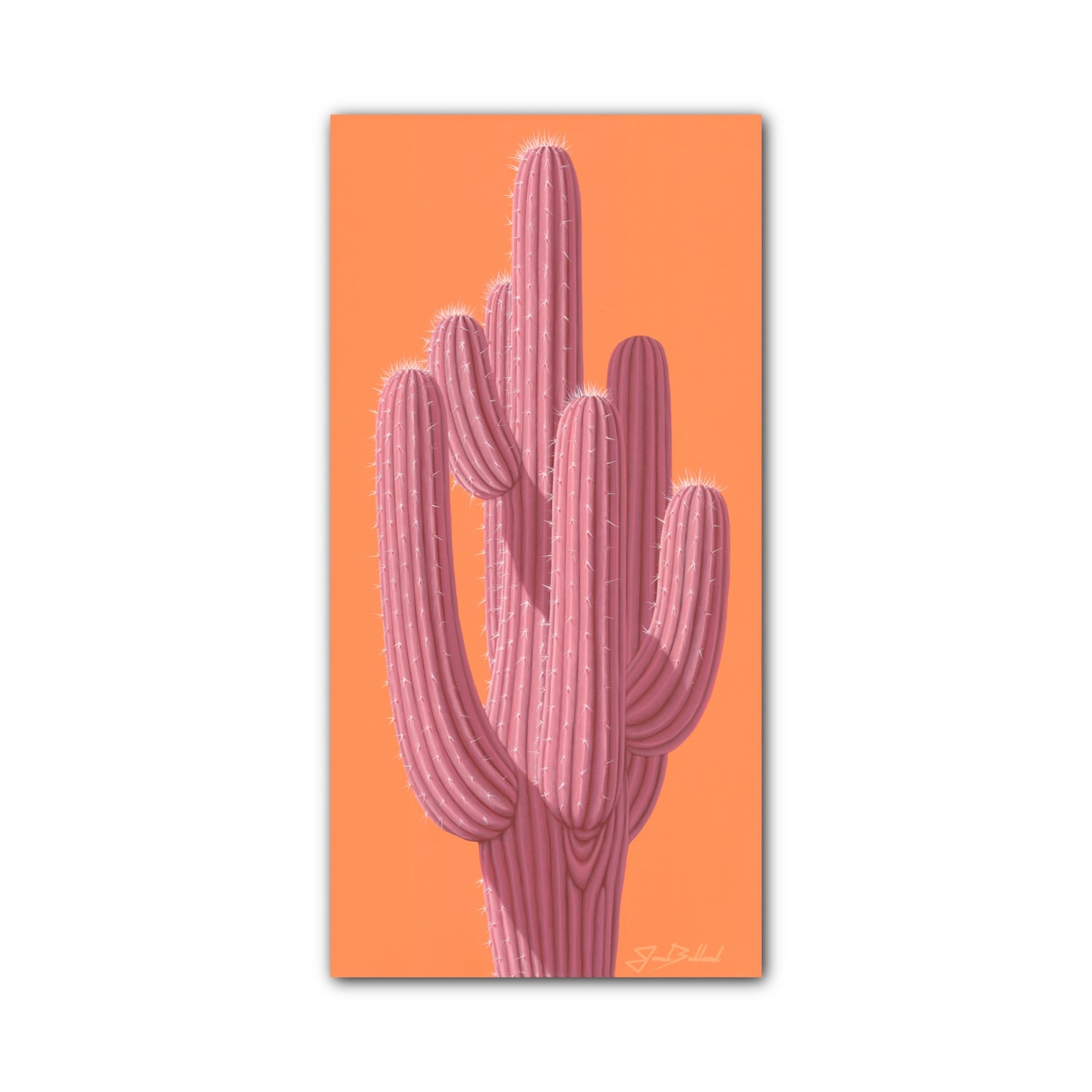 Sorbet Saguaro 24"x48" Canvas Print