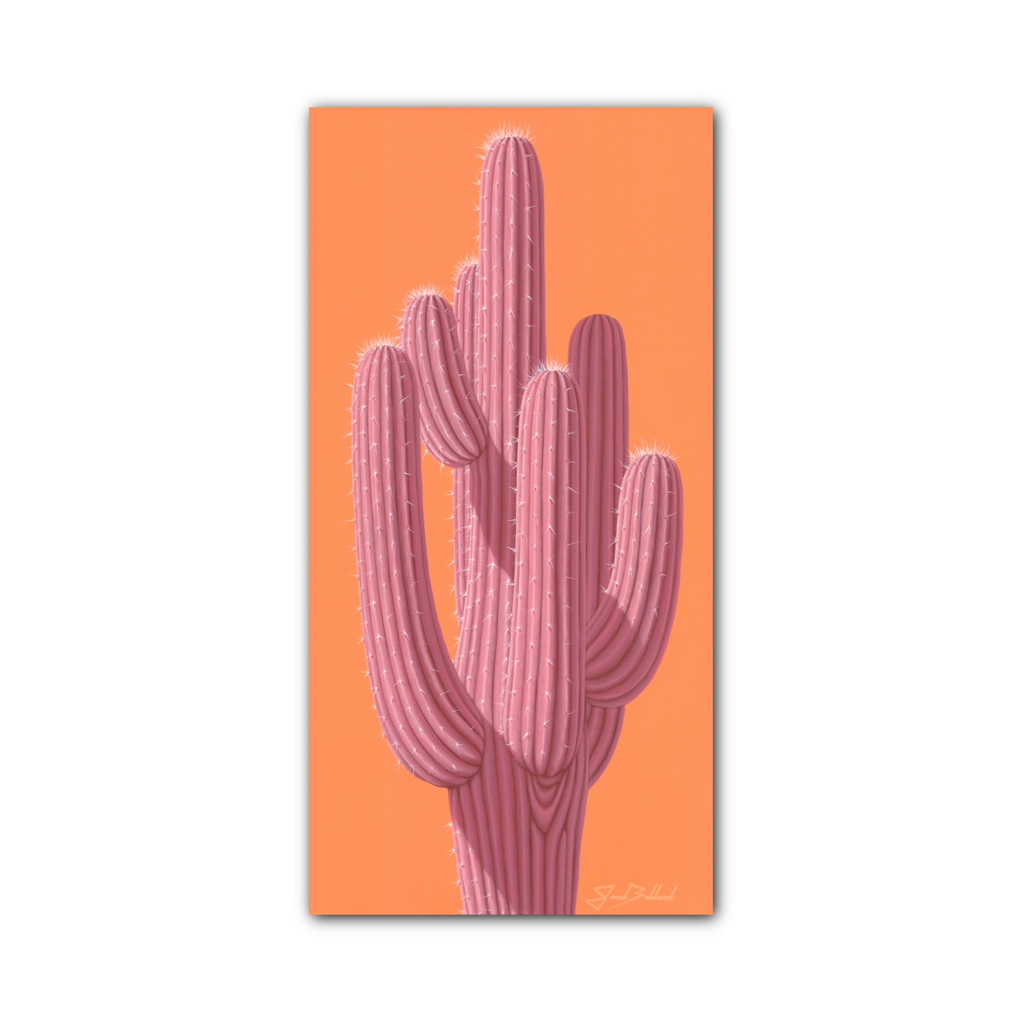 Sorbet Saguaro 24"x48" Canvas Print