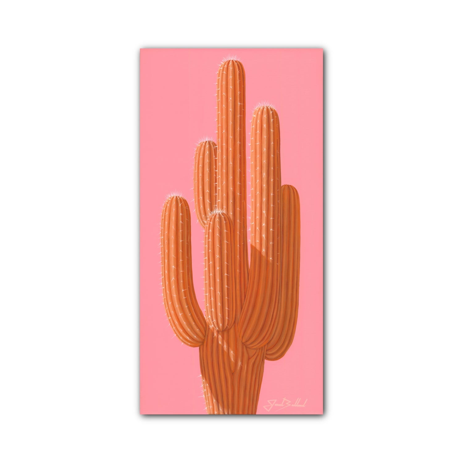 Sunset Saguaro 24"x48" Canvas Print