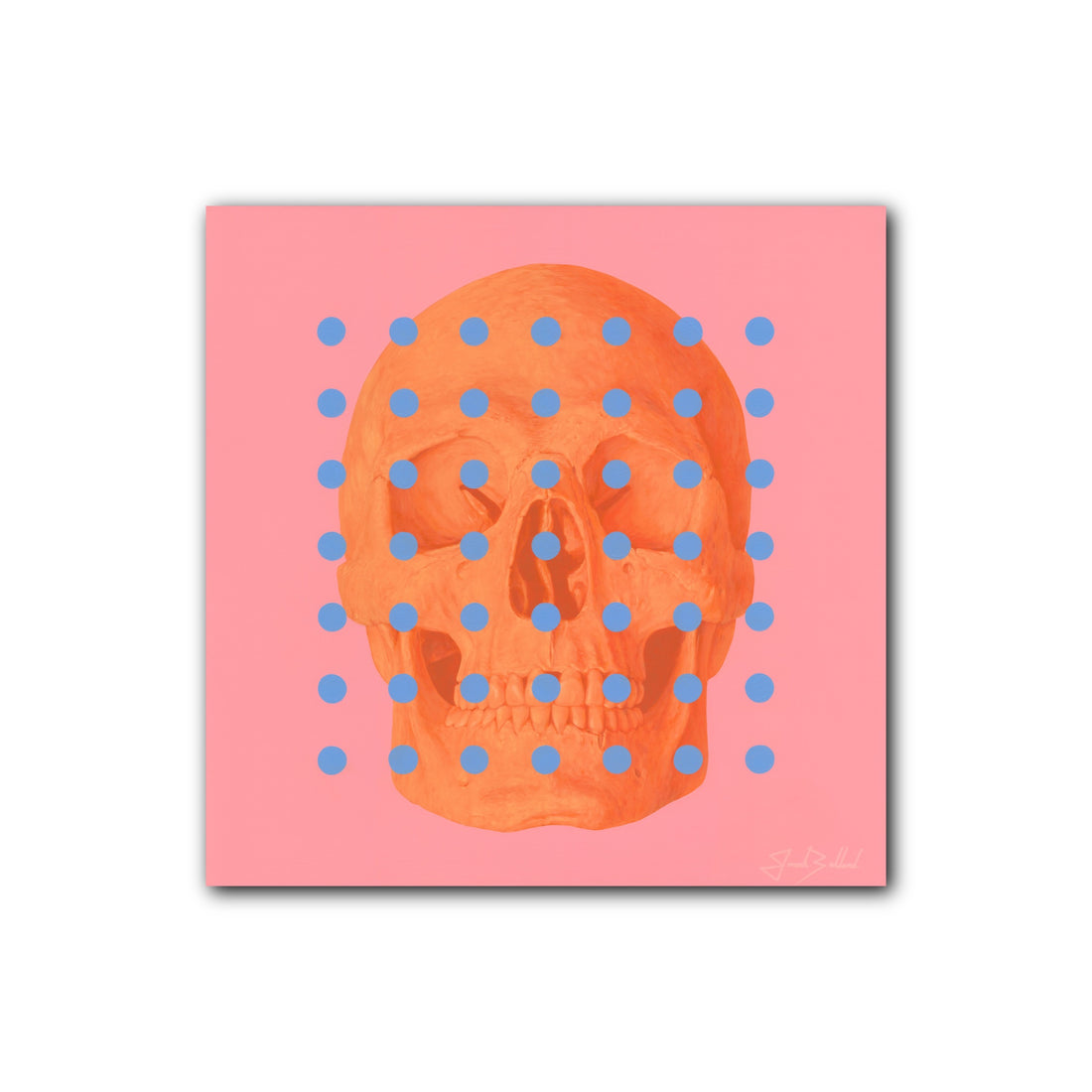 Veil of Transparency 48"x48" Canvas Print