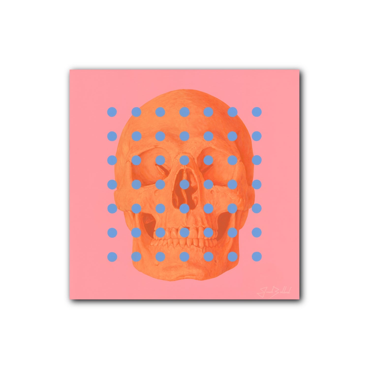 Veil of Transparency 48"x48" Canvas Print