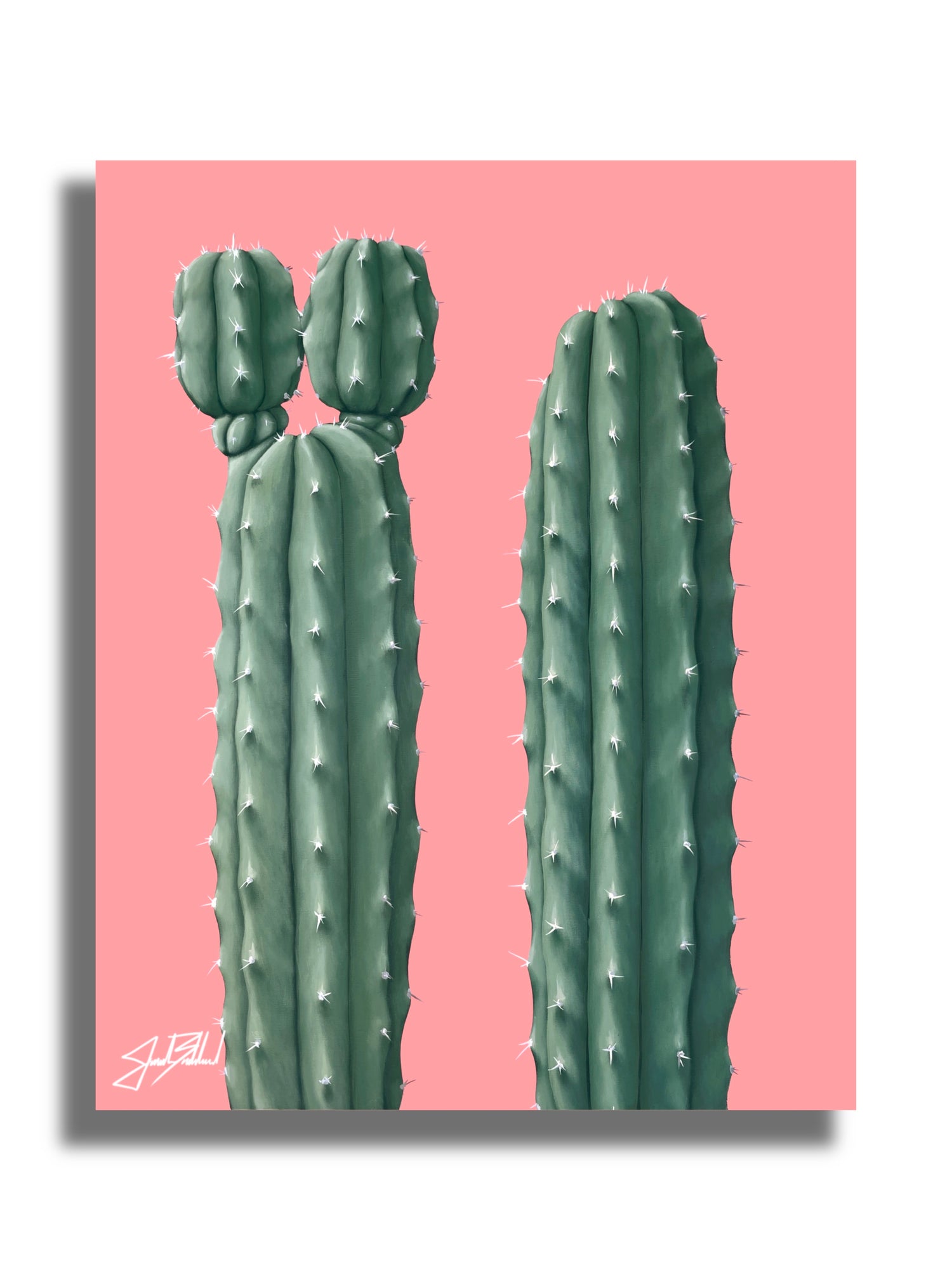 Pink Pipe Cactus Paper Print