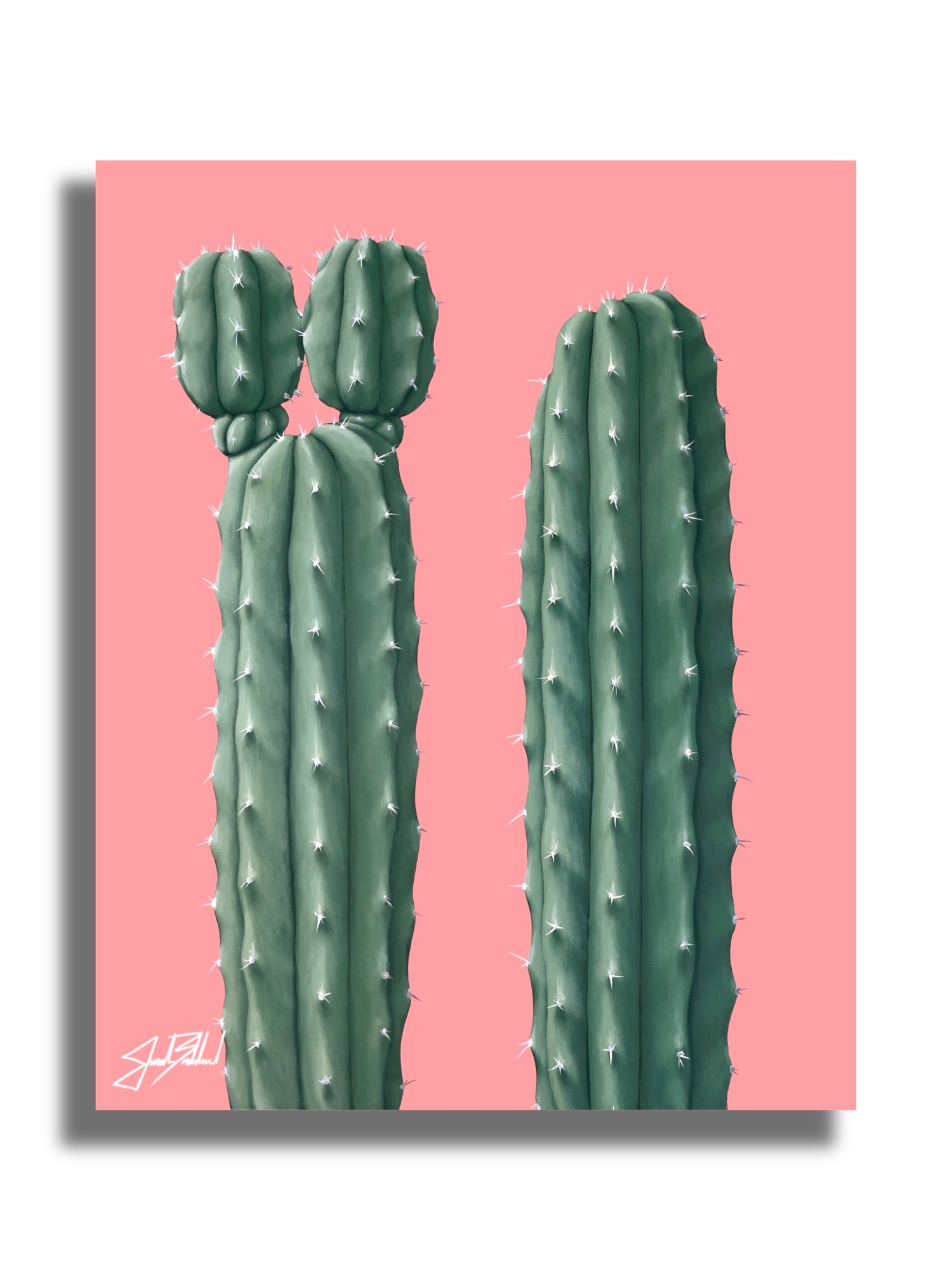 san pedro cactus art Pink Pipe Cactus – Pink Desert Landscape Print by Jonah Ballard – The Painted Ladies by Jonah Ballard