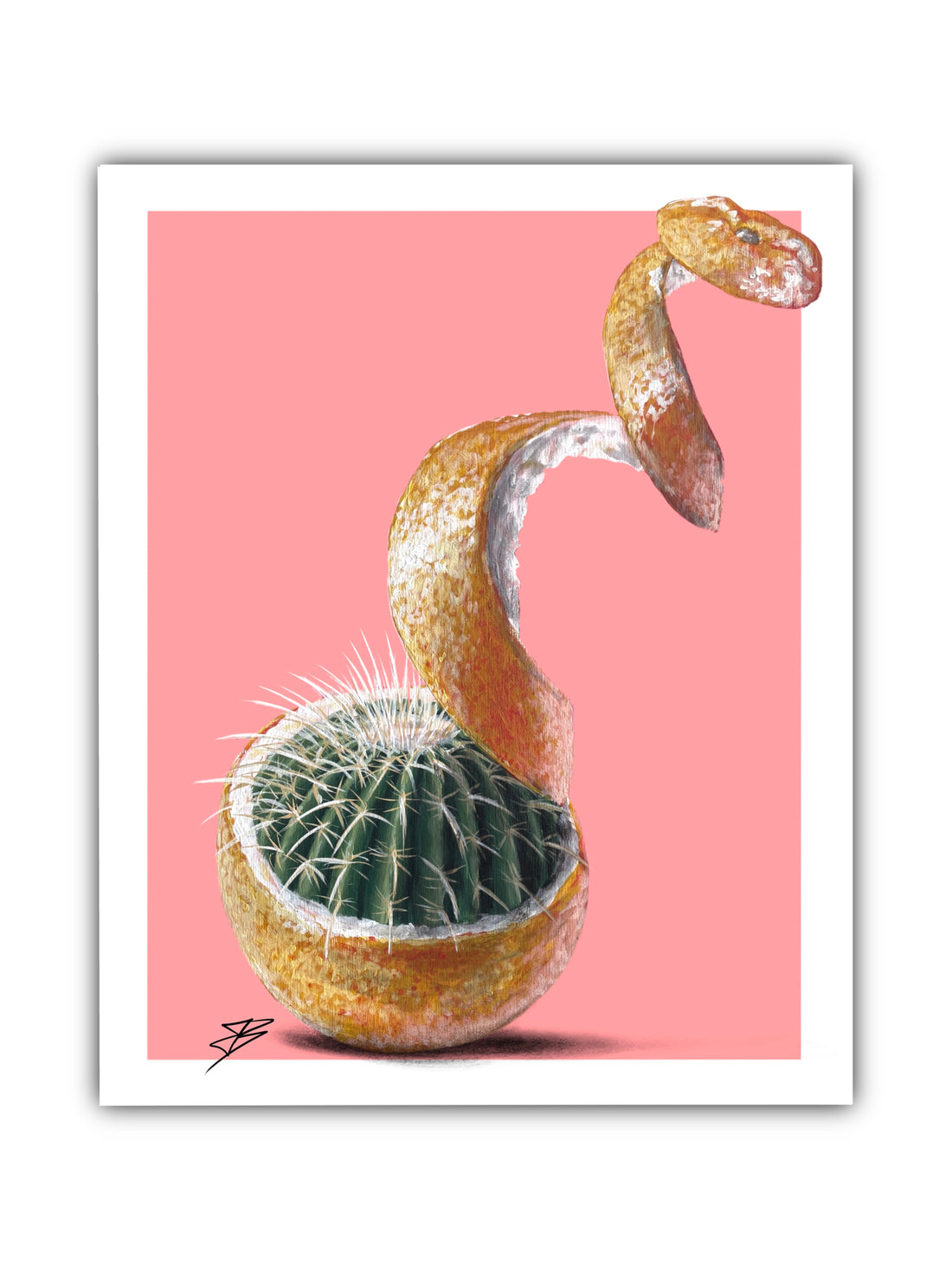 Cactus Grapefruit Paper Print
